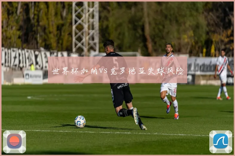 世界杯加纳vs克罗地亚失球风险
