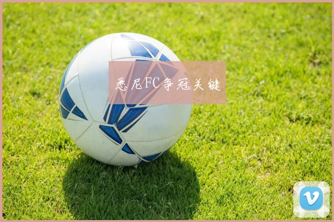 悉尼FC争冠关键