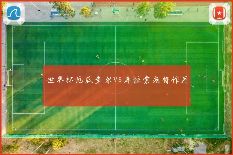 世界杯厄瓜多尔vs库拉索老将作用