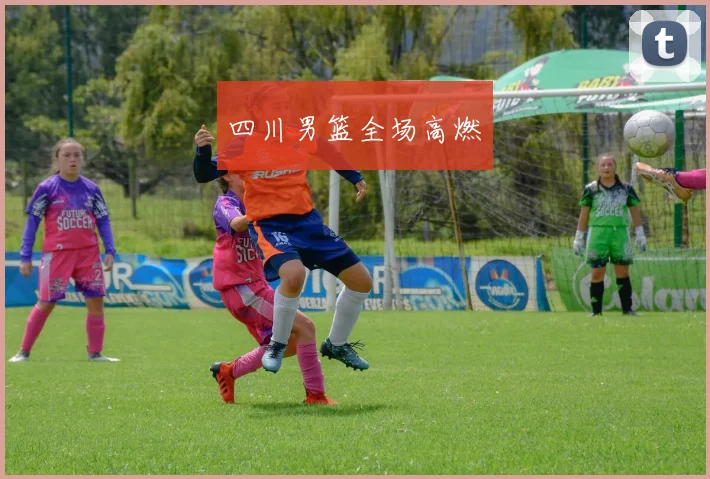 四川男篮全场高燃