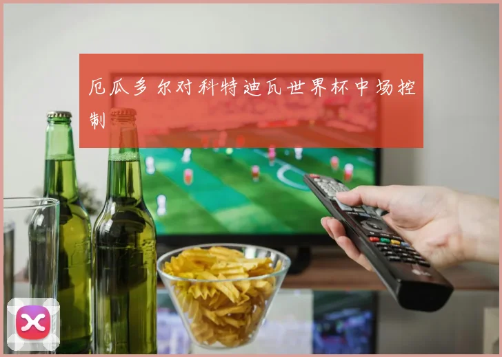 厄瓜多尔对科特迪瓦世界杯中场控制